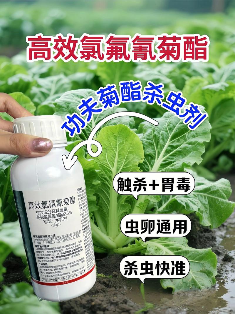 贵阳代生中心:农药对供卵代生妈妈的危害